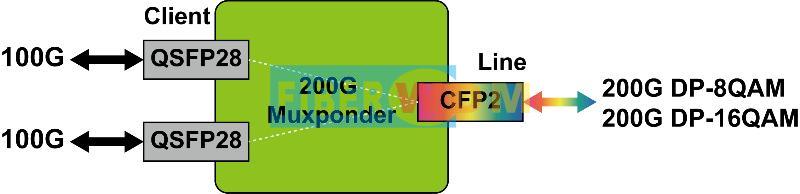 200G Muxponder