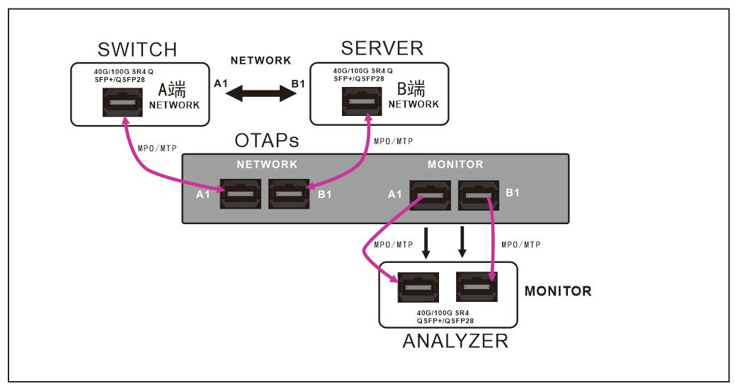 Passive Network Optical Taps