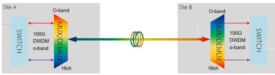 QSFP28 100G DWDM O-band