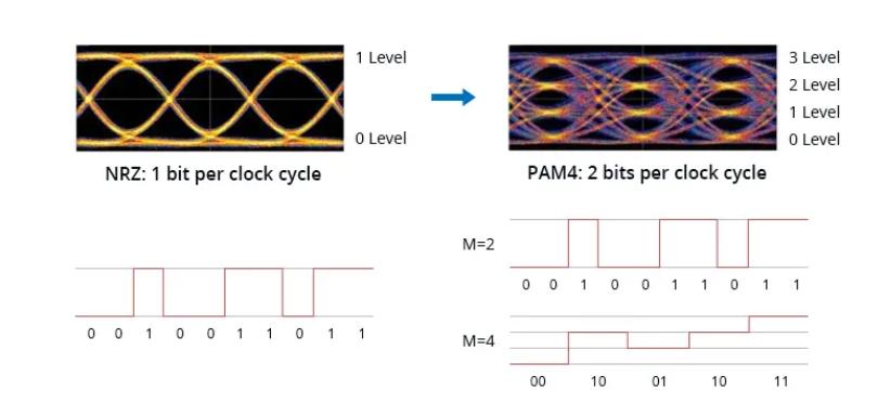 optical module
