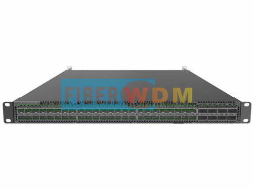 Data Center Switch 48x100Ge DSFP ports and 8x400Ge QSFP-DD uplink ports DS610
